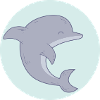 Cute Dolphin
