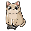 Gaming Cat