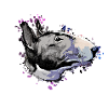 Miniature Bull Terrier Comic 4