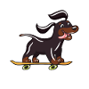 Skateboard Dog