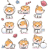 Shiba Inu
