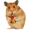 Hamster feeds pizza