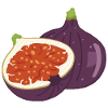 Digital fig