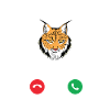 lynx