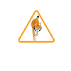 lynx