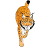 Luchs Wildkatze Shirt Geschenkidee