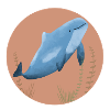 Porpoise circle terra cotta