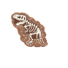 Paleontologist Paleontology