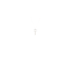 Pastor