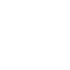 Lawyer