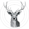 Celestial deer