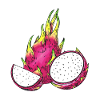Dragon Fruit