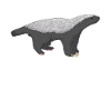 Honey Badger Illustration