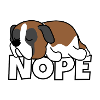 Nope Saint Bernard dog