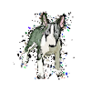 Miniature Bull Terrier Comic