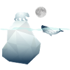 The Arctic