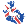 Icelandic horse