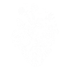 Coeur anatomique avec fleurs
