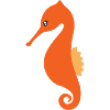 Seahorse