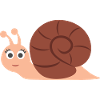 slug