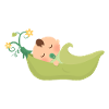 Cute Baby In A Pod