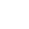 BORN IN THE USA