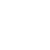 ramoneur