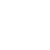 Bull skull