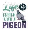 Dove