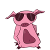 Funny cool pink pig