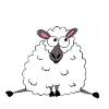 Sweet sheep