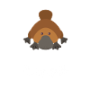 Platypus-Always Be Yourself