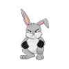 Lapin en colère