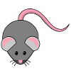 mouse