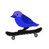 cute skating bird