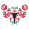Uterus feminist women body