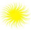 The sun