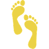Foot trace