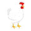 chicken