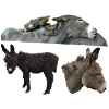 Donkey