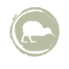 Neuseeland Kiwi