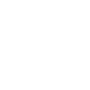 New Zealand kiwi gift