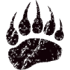 Bearded paw bear claw