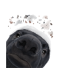 Curious Honey Badger