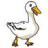 Duck, cute, animal, drawing, comic