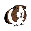 Guinea pig, comic