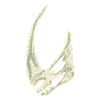Mudhorn