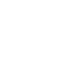 Big Brother