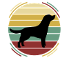 Retro dog labrador