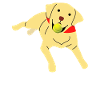 Labrador